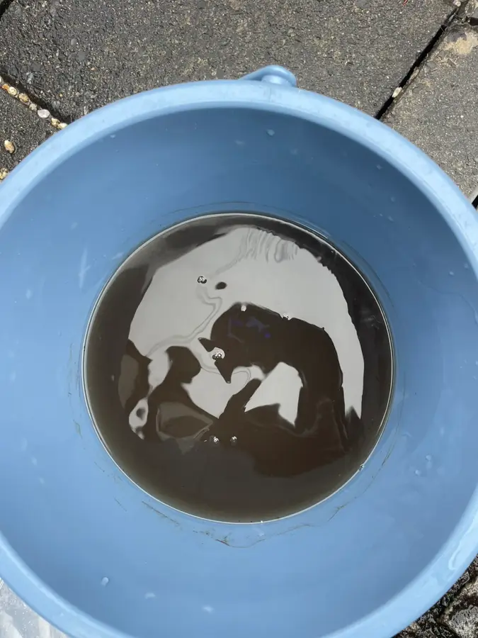 洗浄でバケツにたまった汚れた水