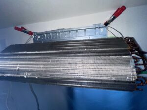 完全分解　背抜き洗浄